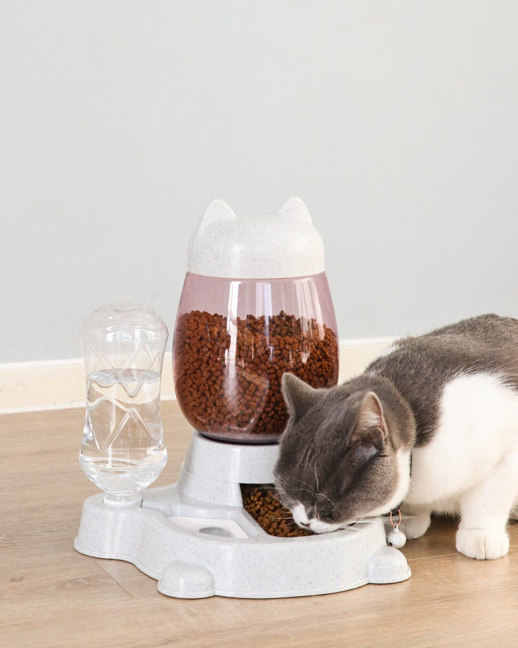 Pet Dog Cat Automatic Feeder Bow