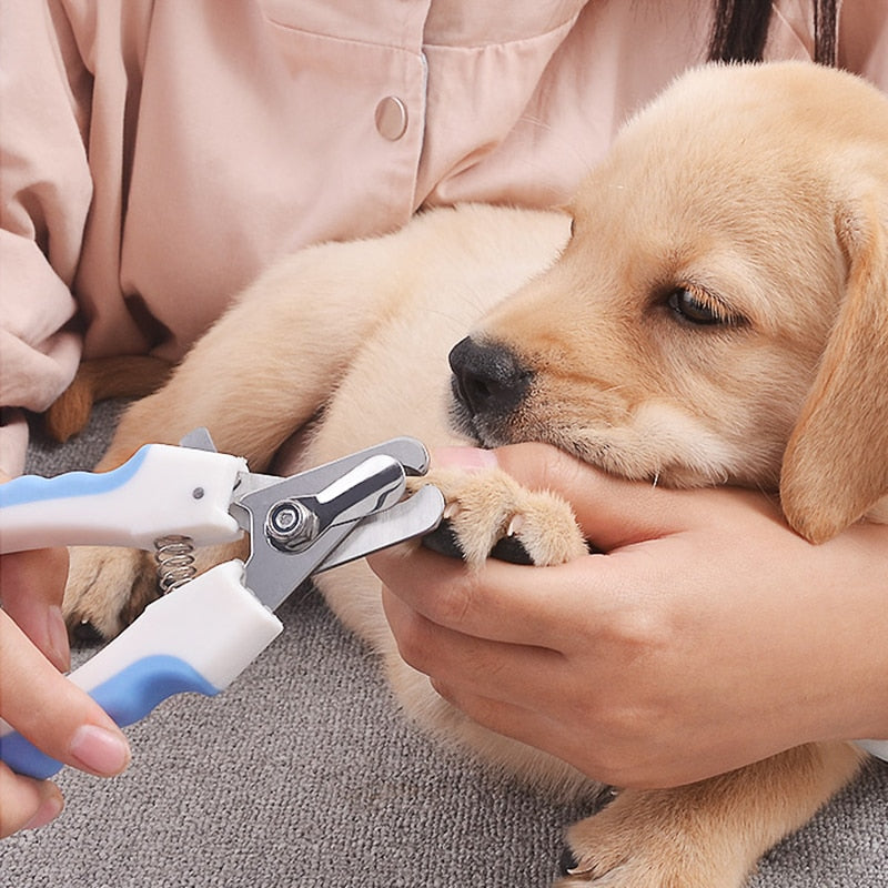 Pet Nail Clipper Scissors Pet Dog
