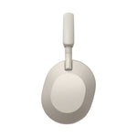 Sony Noise Cancelling Headphones